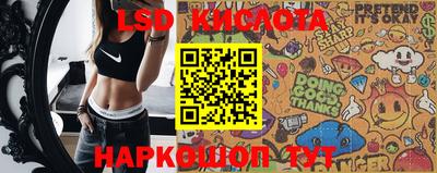 стаф Абакан