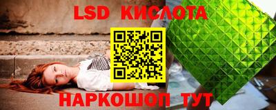 spice Бийск