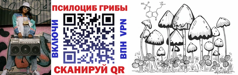 Псилоцибиновые грибы Psilocybine cubensis  Елец 