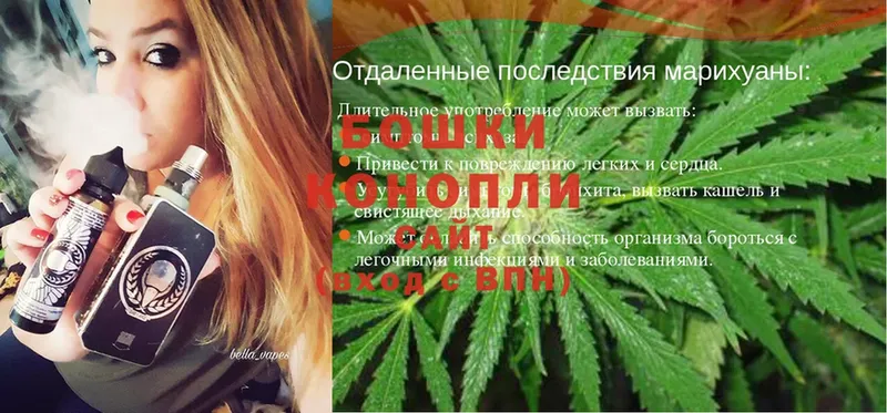 купить наркоту  MEGA   Каннабис Ganja  Елец 